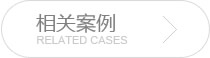 某某網(wǎng)絡(luò )企業(yè)網(wǎng)站建設案例